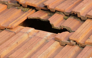 roof repair Low Biggins, Cumbria